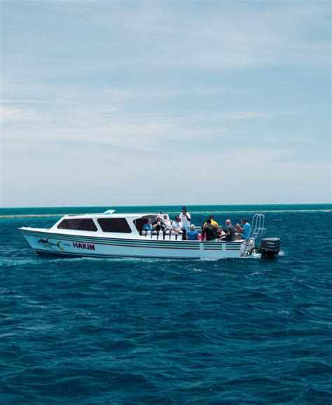 Diving Trips in Belize - Belize Dive Haven Resort