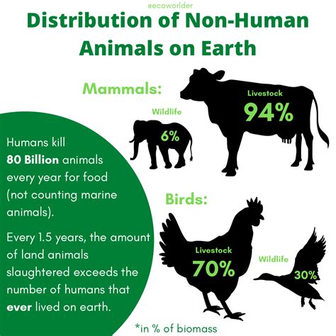 Non-Human Animals Distribution on Earth