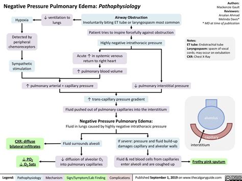 Negative Pressure Pulmonary Edema: Pathophysiology | Calgary Guide