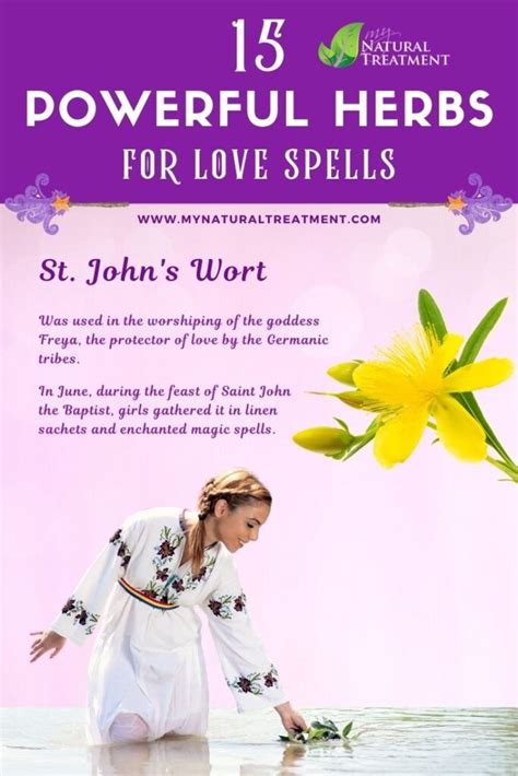 15 Best Herbs for Love Spells and Magic Recipes DIY