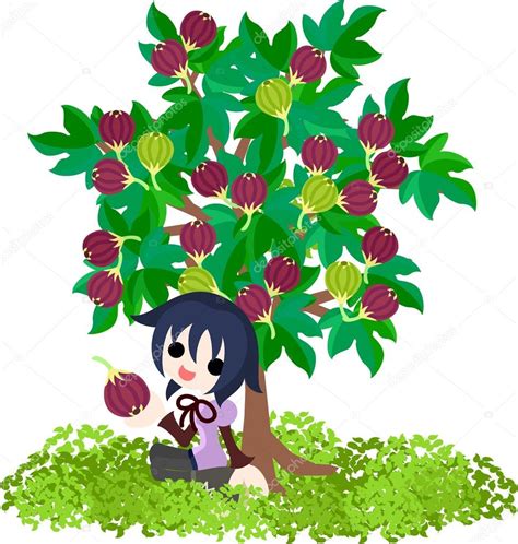 Fig Tree ⬇ Vector Image by © chiharu-t | Vector Stock 27075853