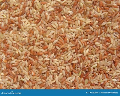 Rajamudi rice stock photo. Image of indian, fibre, ingredient - 191062956