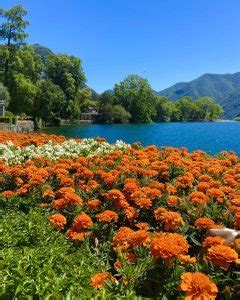 Winter In Lugano, Switzerland: Weather & Things To Do - SwitzerLanding