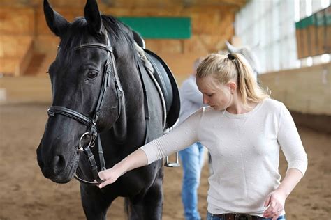6 Reasons To Do Groundwork With Your Horse