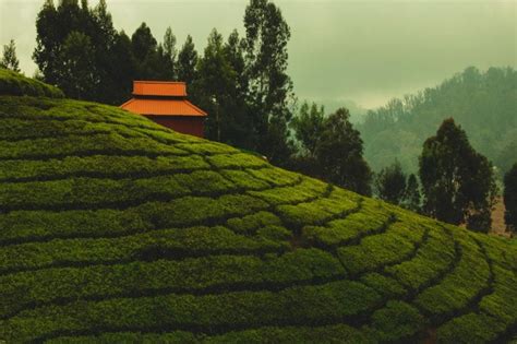 9 Hill Stations to Visit in Tamil Nadu | Veena World