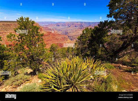 Grand Canyon South Rim Hermits Rest Grand Canyon National Park Arizona USA Stock Photo - Alamy