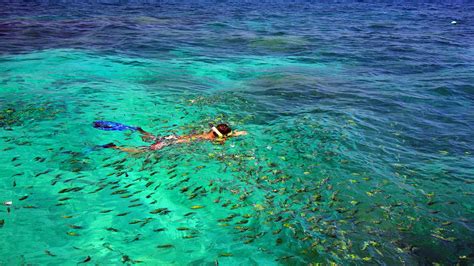 Speedboat Tour of the Phi Phi Islands | musement