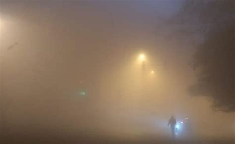 Delhi Weather: Nearly 300 Flights Reportedly Delayed Due To Fog In ...