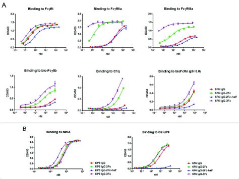 Binding profiles of IgG Fc variants to Fc receptors, C1q and antigens ...