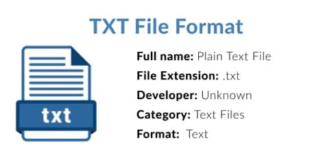 TXT File Format: What Is .txt File & How to Open/Convert It