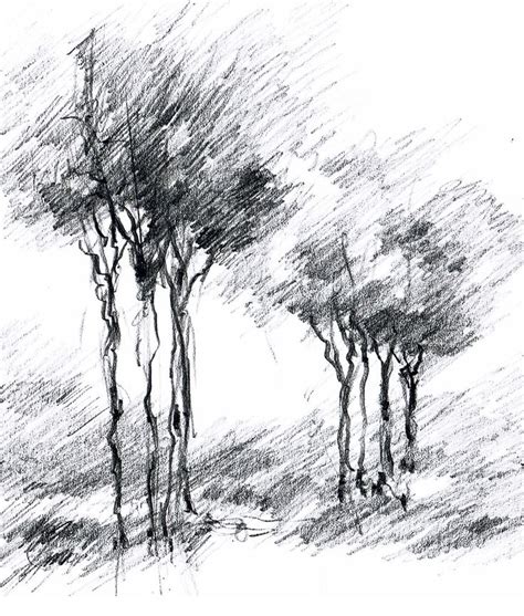 trees ... | Landscape drawings, Tree drawings pencil, Landscape sketch