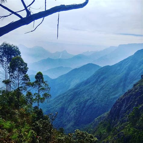 Green Valley View, Kodaikanal, Tamil Nadu Tourism 2021| Timings, Things to do, Travel Guide ...