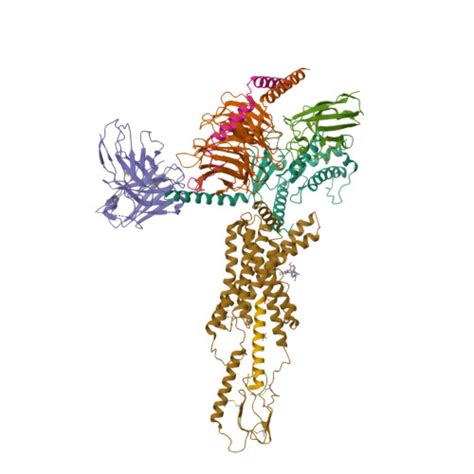 RCSB PDB - 7RBT: cryo-EM structure of human Gastric inhibitory polypeptide receptor GIPR bound ...