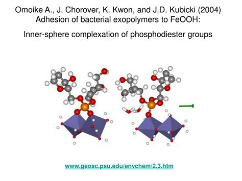 PPT - Sorption processes in soil PowerPoint Presentation, free download - ID:920950