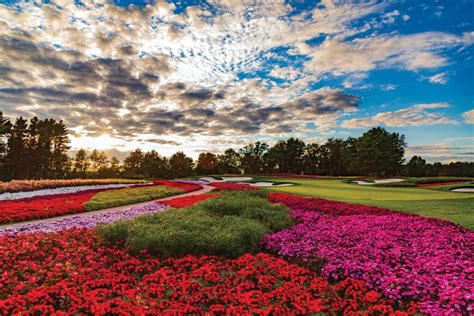 SentryWorld Golf Course will say closed ahead of US Senior Open ...