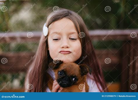 Little Girl Playing with Little Brown Dog Stock Image - Image of beautiful, young: 212998079