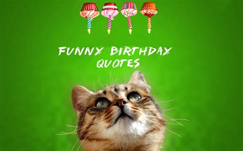 80 Funny Birthday Quotes – Funny Ways To Say Happy Birthday ...