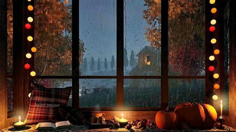 Cozy Window Reading Nook on a Rainy Autumn Night - Relaxing rain on windows sound for sleeping ...