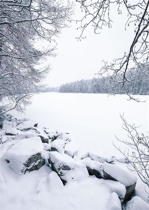 White Snowy Landscape With Snow Covered Photograph by Jani Riekkinen ...