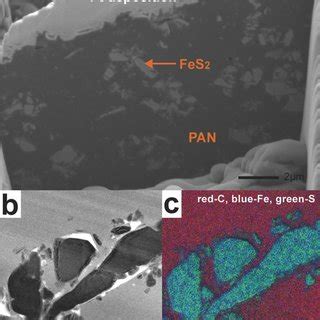 Cross-sectional SEM image of an uncycled PAN-FeS2 electrode. b) TEM... | Download Scientific Diagram