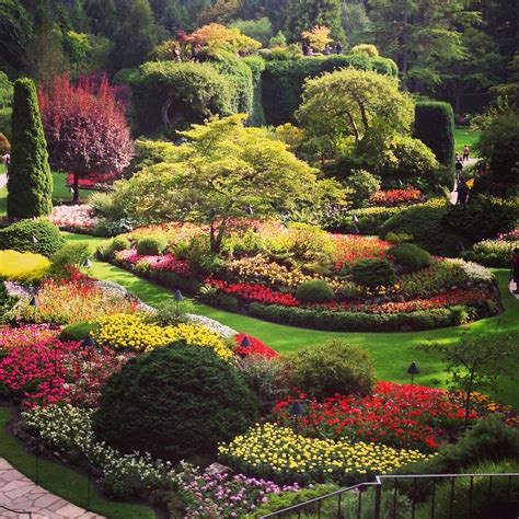 The amazing Butchart Gardens in Victoria | Jardines, Flores, Moises