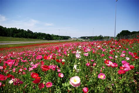 File:Frühling im Madison County.jpg - Wikimedia Commons