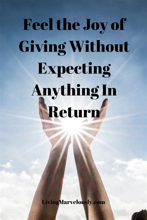 Quotes About Helping Others Without Expecting Anything In Return - Lisa Sheree