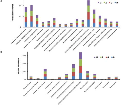 | Effect of HEP3 on the microbiota classification and abundance... | Download Scientific Diagram