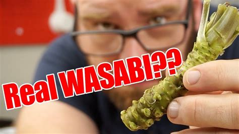 Real Wasabi or Fake Wasabi? Is there a difference? - Saucestache