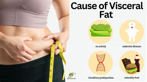 How to Reduce Visceral Fat with Diet, Nutrition & Exercise