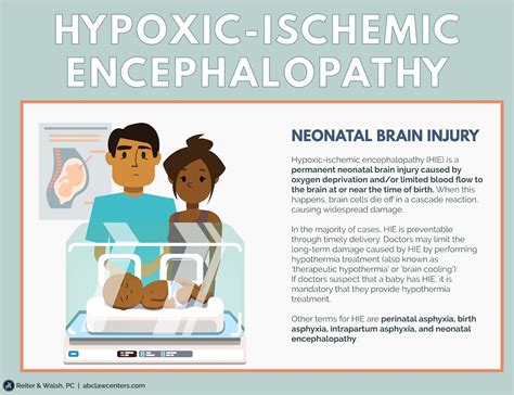 Hypoxic-ischemic encephalopathy (HIE) is a newborn brain injury caused by oxygen deprivation to ...