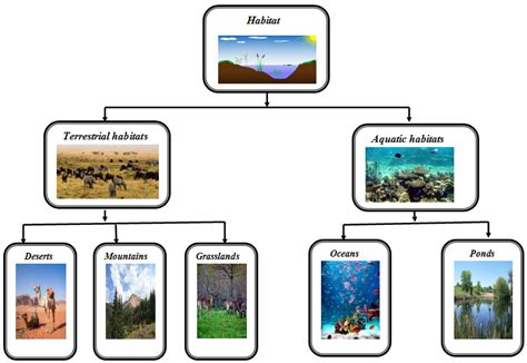 Habitat and Their Types - Terrestrial Habitat, Aquatic habitat