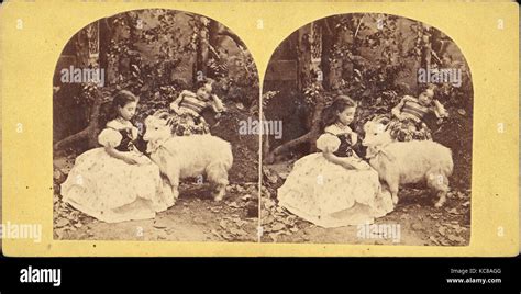 Group of 31 Stereograph Views of Children With Animals, Benneville Lloyd Singley, 1850s–1910s ...