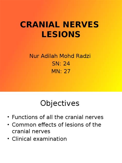 Cranial Nerves Lesions | Senses | Neuroanatomy