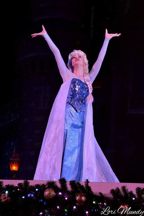 DISNerd - A Frozen Holiday Wish (by disneylori)