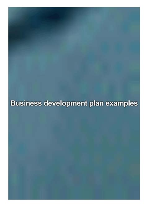 Business development plan examples by Sorrels Amy - Issuu