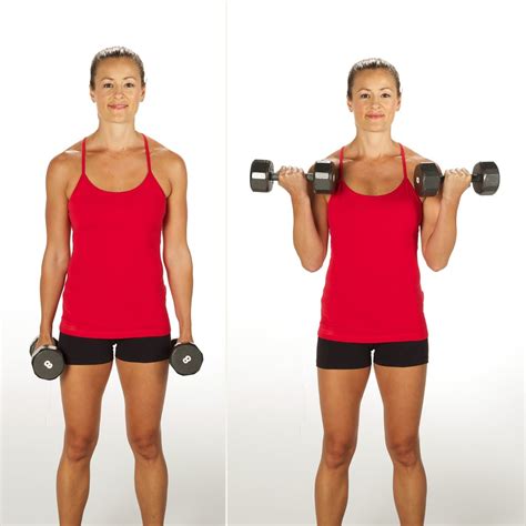 Circuit Two: Bicep Curl | Beginner Strength-Training Circuit | POPSUGAR ...