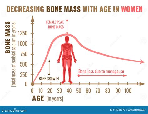 Bone mass decreasing stock vector. Illustration of body - 111941877