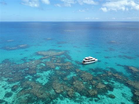 Port Douglas Reef Tours