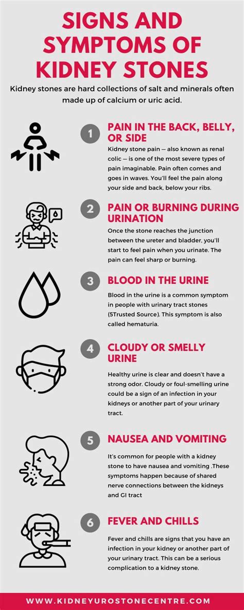 Signs and Symptoms of Kidney Stones by Kapoor's Kidney & Urostone Centre Pvt. Ltd. - Issuu