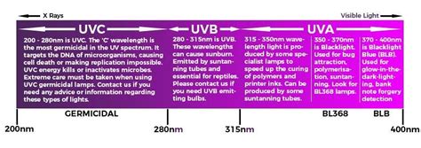 Wavelength Of Uv Light