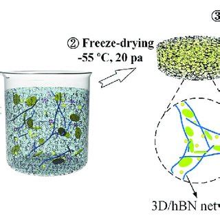 Schematic showing the fabrication process of 3D/hBN network and... | Download Scientific Diagram