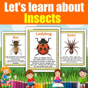 Let's learn about Insects l 16 Printable flash cards with fun facts for kids