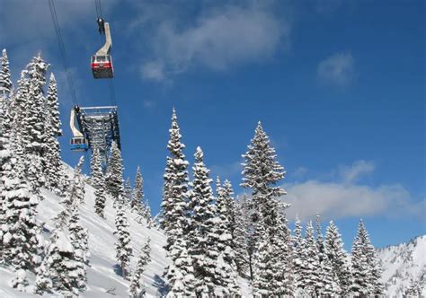 Ski Snowbird Resort | Snowbird Skiing Terrain Ratings