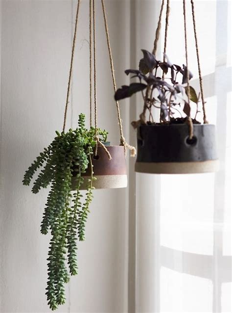 Pin by Cathy Norcott-Jones on Interior Design | Hanging plants, Plants, Hanging plants indoor