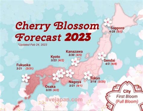 Japan Cherry Blossom 2023 Forecast: When & where to see sakura in Japan ...