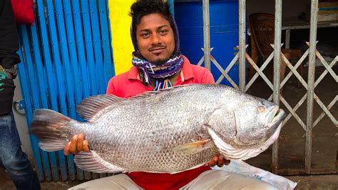 Must Watch Fish Cutting Skills!!! Amazing 10 KG Tripletail Fish Cutting Techniques By A ...