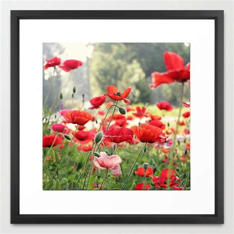 Poppy Photography Nature Photography, Poppy Flower Photo, Poppy Field ...