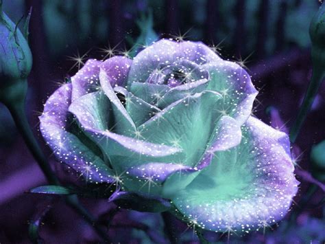 Diamond & Roses Wallpapers - Top Free Diamond & Roses Backgrounds - WallpaperAccess