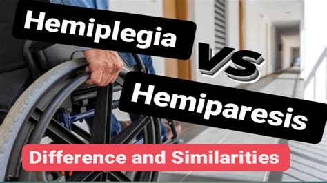 hemiplegia vs hemiparesis : Understanding the Differences ...